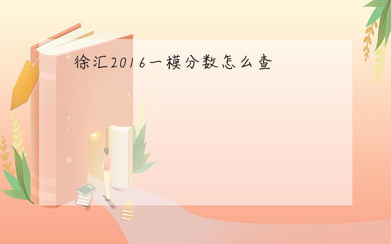 徐汇2016一模分数怎么查