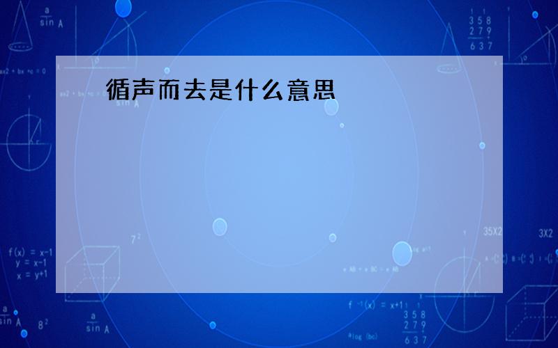 循声而去是什么意思