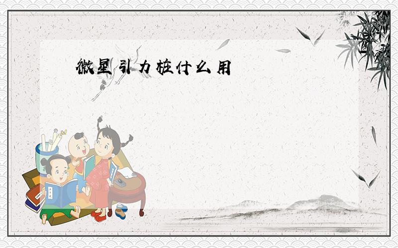 微星引力桩什么用