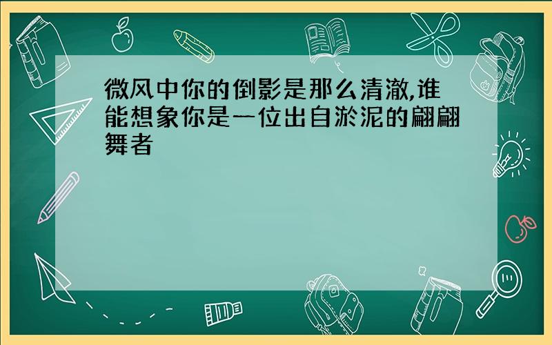 微风中你的倒影是那么清澈,谁能想象你是一位出自淤泥的翩翩舞者