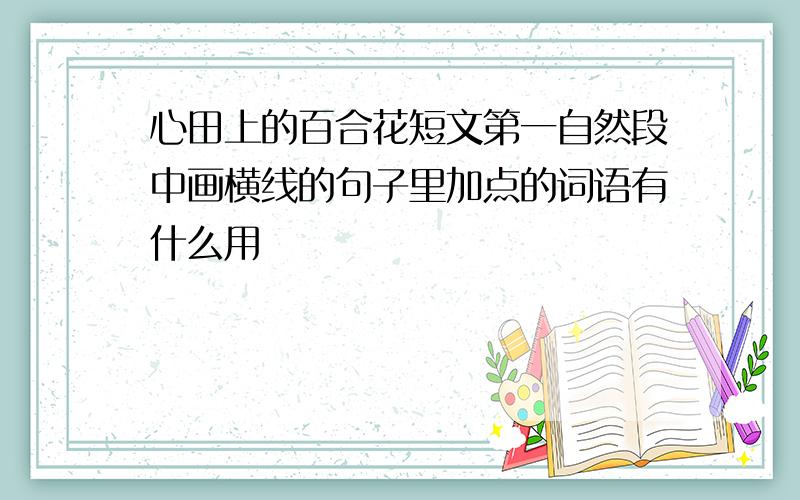 心田上的百合花短文第一自然段中画横线的句子里加点的词语有什么用