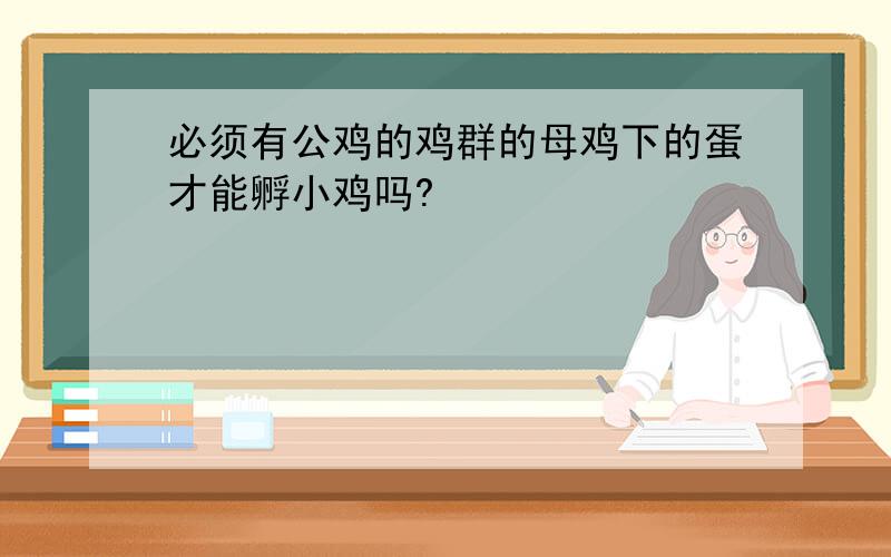 必须有公鸡的鸡群的母鸡下的蛋才能孵小鸡吗?