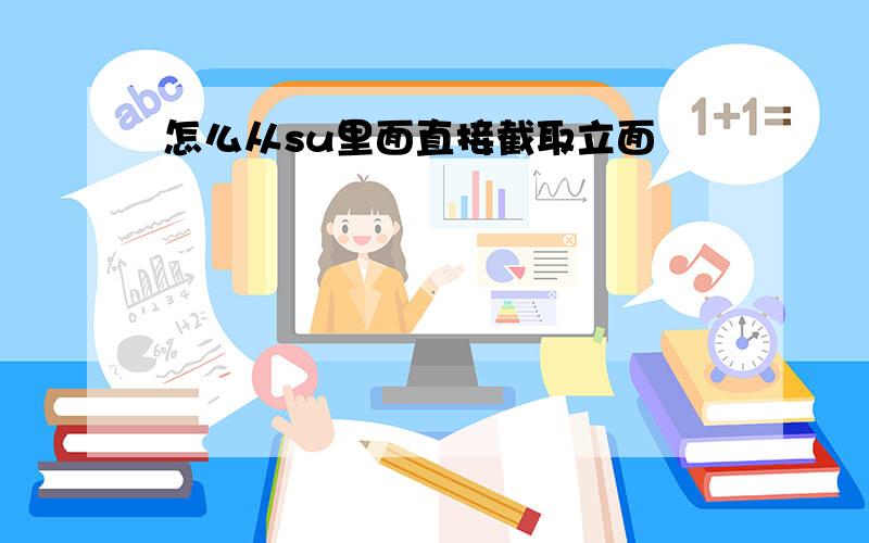 怎么从su里面直接截取立面