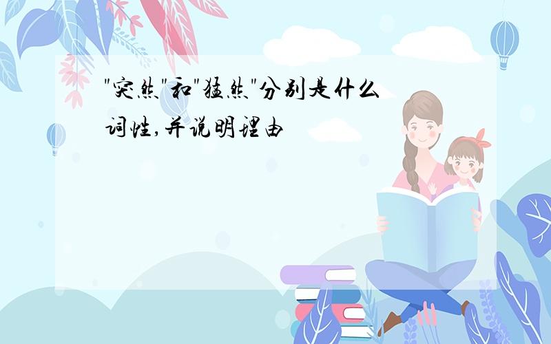 "突然"和"猛然"分别是什么词性,并说明理由