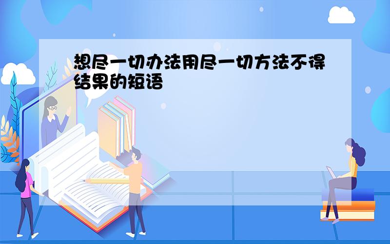 想尽一切办法用尽一切方法不得结果的短语