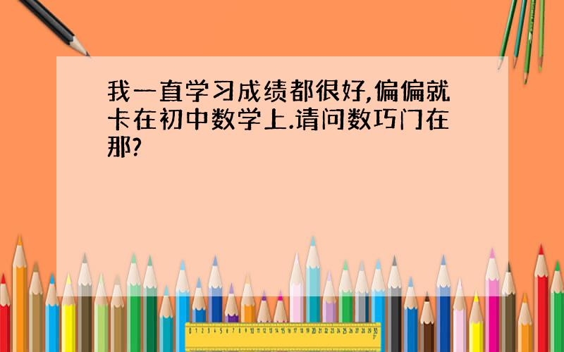 我一直学习成绩都很好,偏偏就卡在初中数学上.请问数巧门在那?