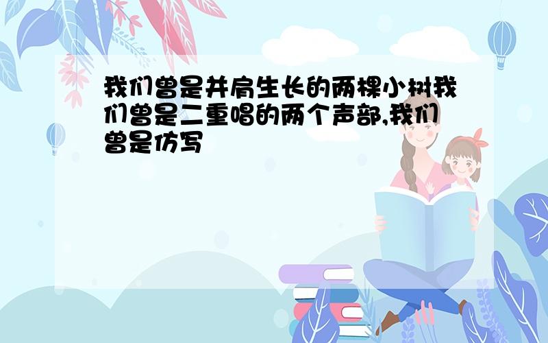 我们曾是并肩生长的两棵小树我们曾是二重唱的两个声部,我们曾是仿写