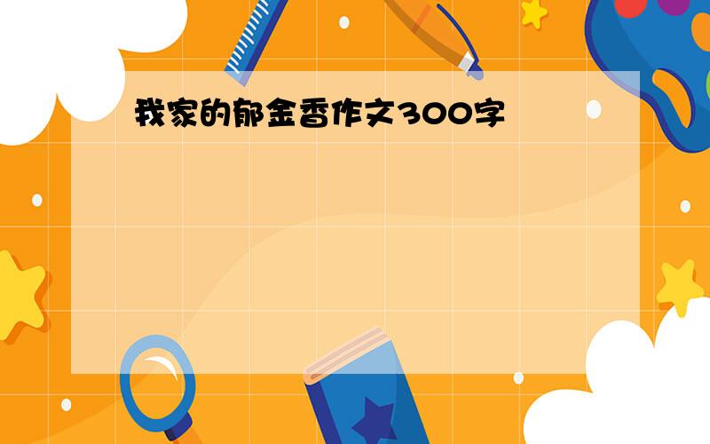 我家的郁金香作文300字