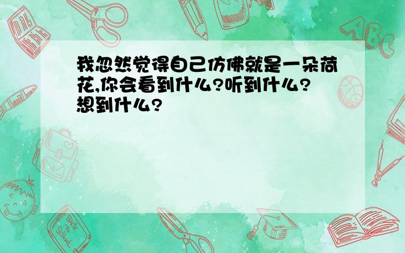 我忽然觉得自己仿佛就是一朵荷花,你会看到什么?听到什么?想到什么?