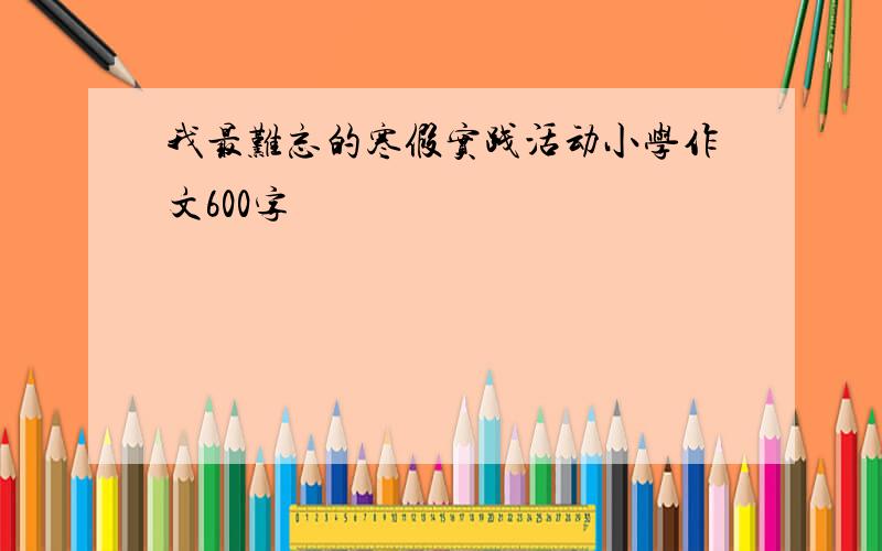 我最难忘的寒假实践活动小学作文600字