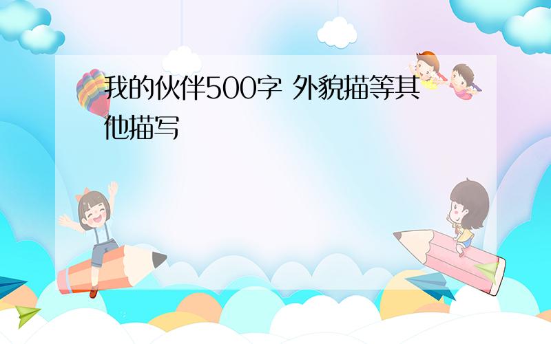 我的伙伴500字 外貌描等其他描写