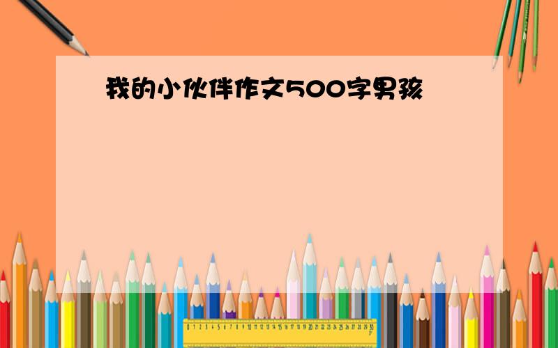 我的小伙伴作文500字男孩