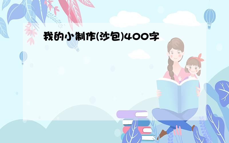 我的小制作(沙包)400字