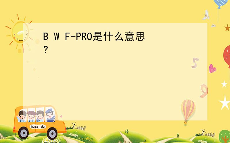 B W F-PRO是什么意思?