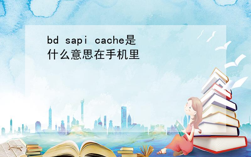 bd sapi cache是什么意思在手机里