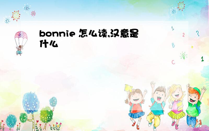 bonnie 怎么读,汉意是什么