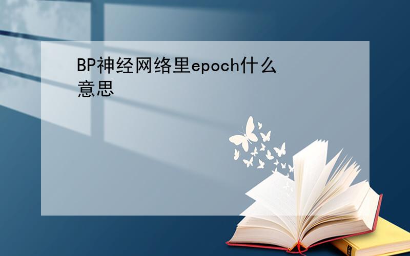 BP神经网络里epoch什么意思