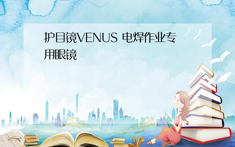 护目镜VENUS 电焊作业专用眼镜