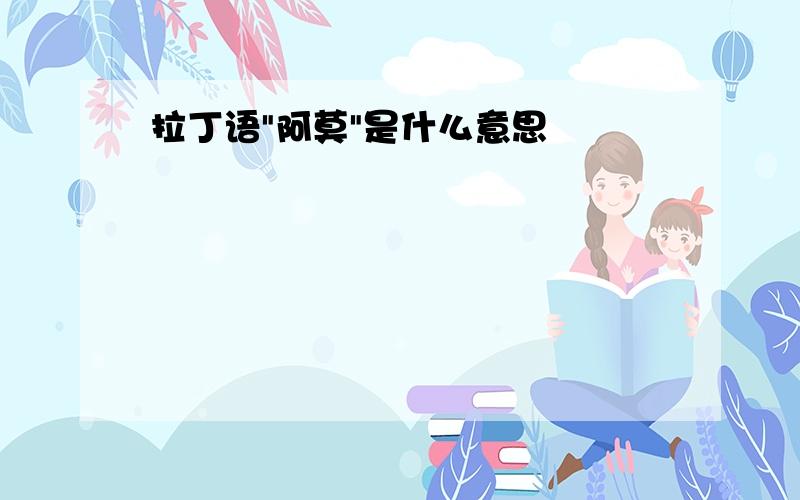 拉丁语"阿莫"是什么意思