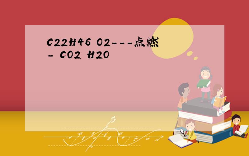 C22H46 O2---点燃- CO2 H2O