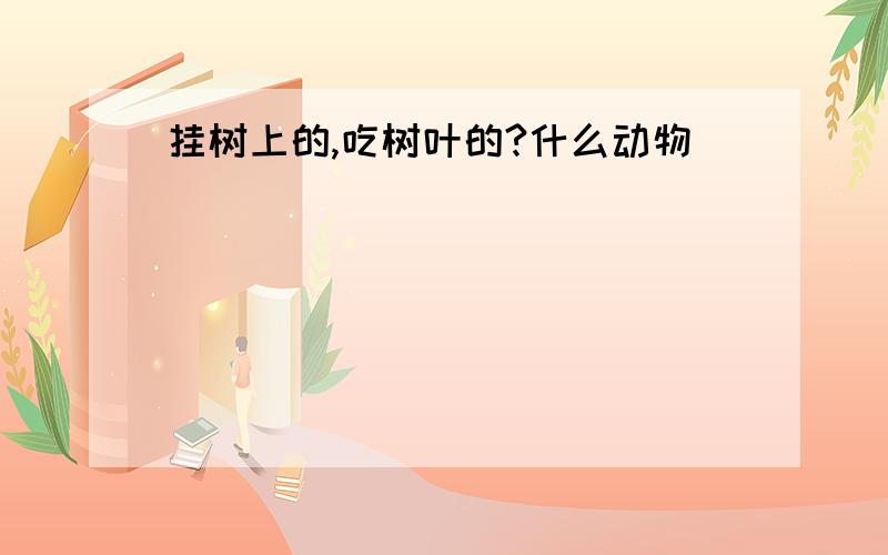 挂树上的,吃树叶的?什么动物