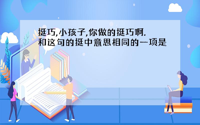 挺巧,小孩子,你做的挺巧啊.和这句的挺中意思相同的一项是