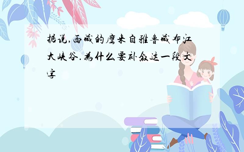 据说,西藏的鹰来自雅鲁藏布江大峡谷.为什么要补叙这一段文字