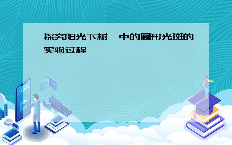 探究阳光下树荫中的圆形光斑的实验过程