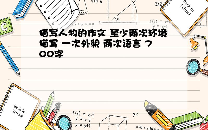 描写人物的作文 至少两次环境描写 一次外貌 两次语言 700字