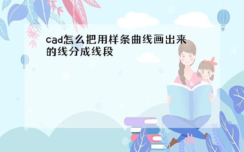 cad怎么把用样条曲线画出来的线分成线段