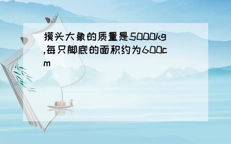 摸头大象的质量是5000kg,每只脚底的面积约为600cm