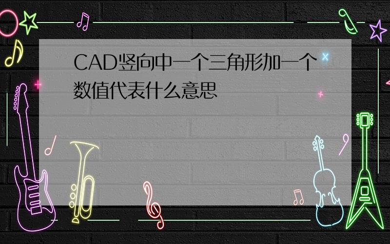 CAD竖向中一个三角形加一个数值代表什么意思