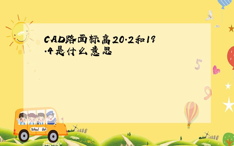 CAD路面标高20.2和19.4是什么意思