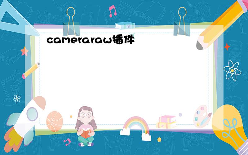 cameraraw插件