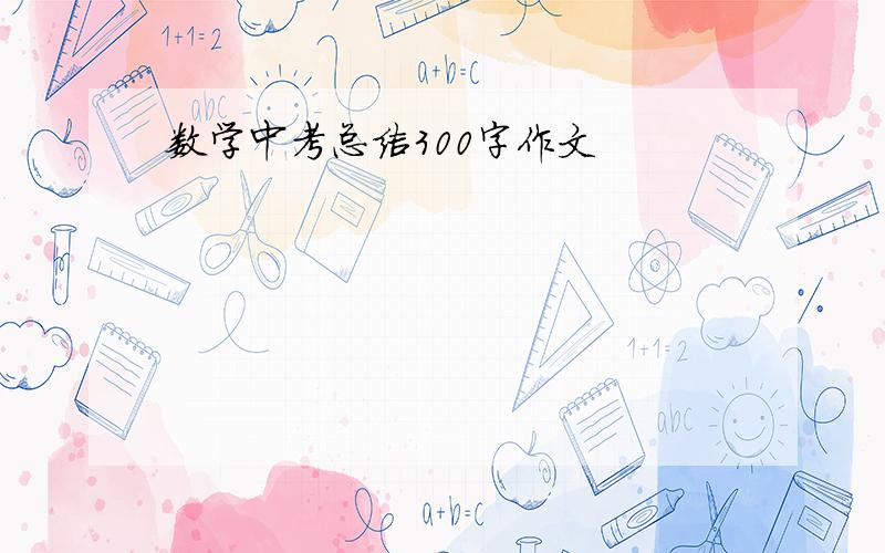 数学中考总结300字作文