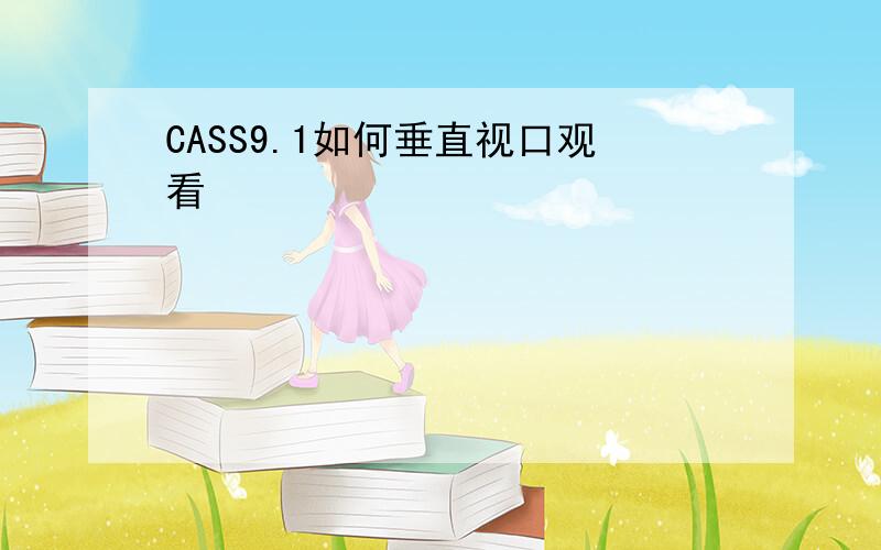 CASS9.1如何垂直视口观看