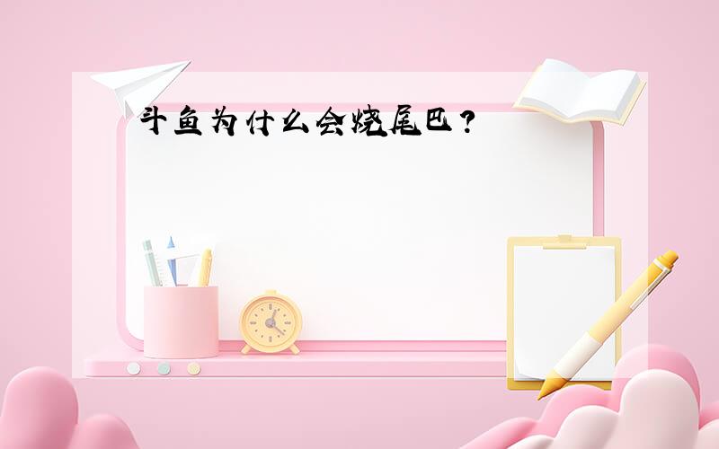 斗鱼为什么会烧尾巴?