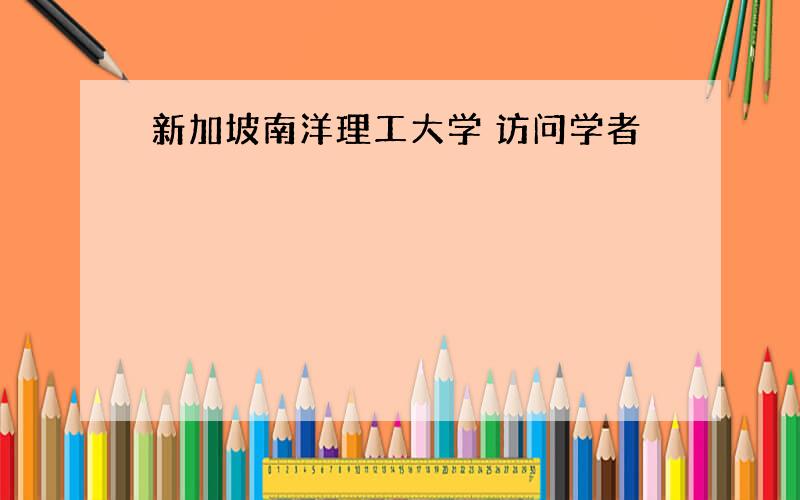 新加坡南洋理工大学 访问学者