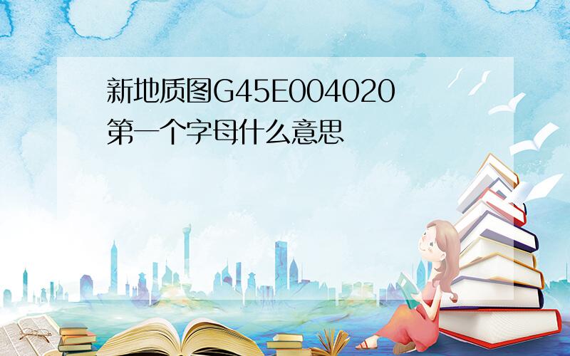 新地质图G45E004020第一个字母什么意思