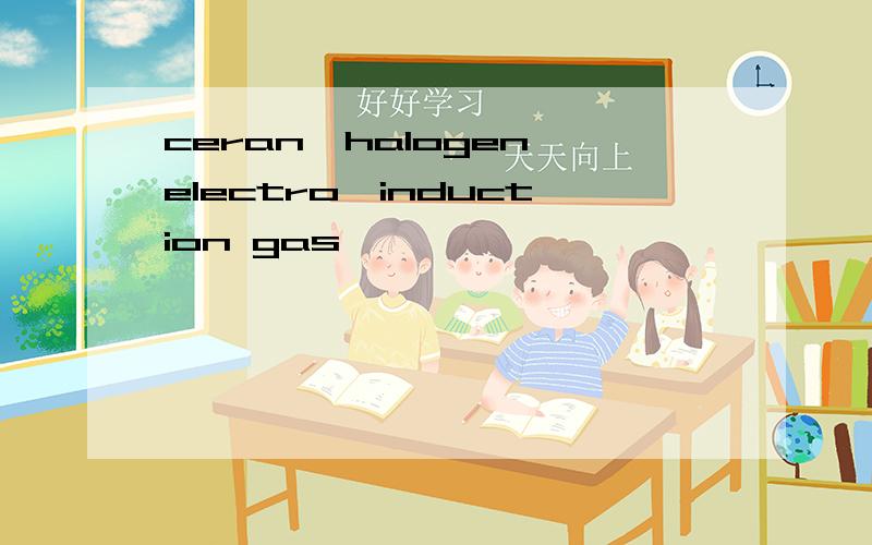 ceran,halogen,electro,induction gas