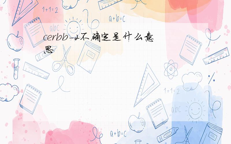 cerbb-2不确定是什么意思