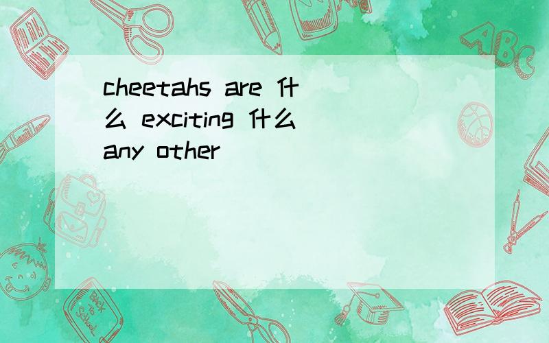 cheetahs are 什么 exciting 什么 any other