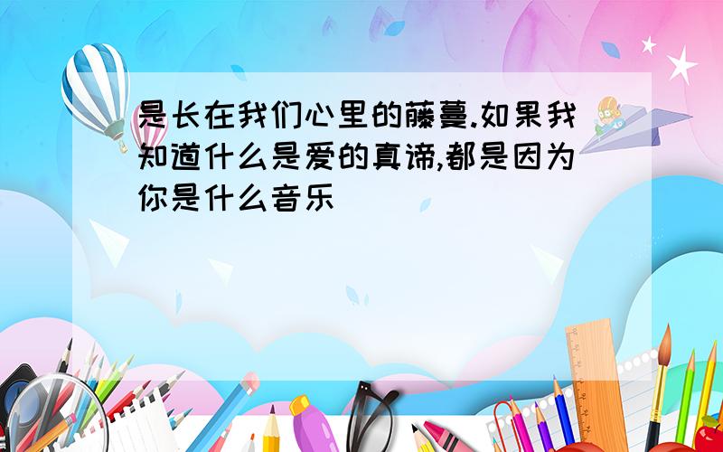 是长在我们心里的藤蔓.如果我知道什么是爱的真谛,都是因为你是什么音乐