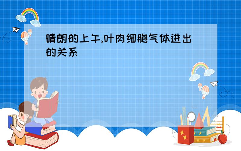 晴朗的上午,叶肉细胞气体进出的关系