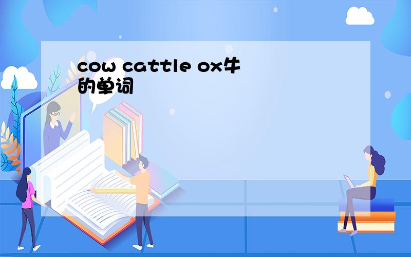 cow cattle ox牛的单词