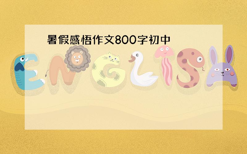 暑假感悟作文800字初中