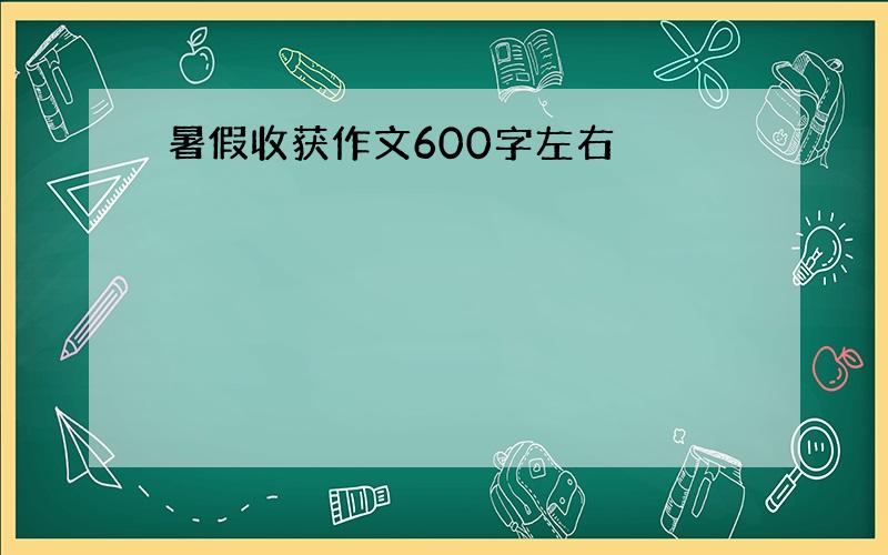 暑假收获作文600字左右