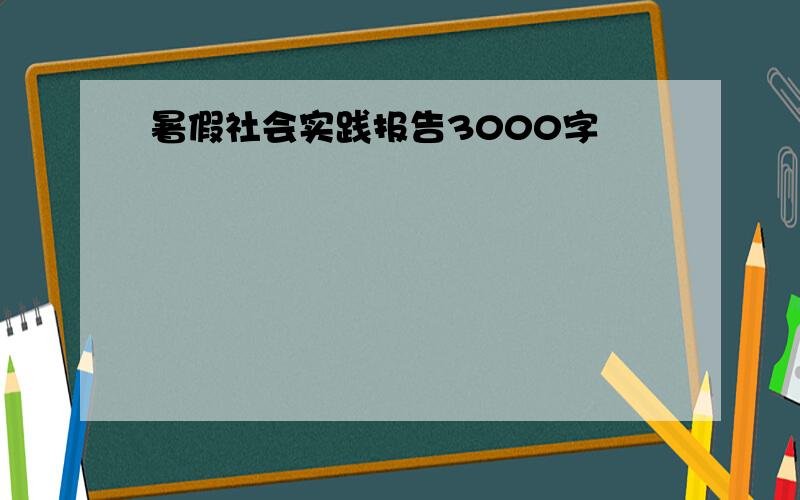 暑假社会实践报告3000字