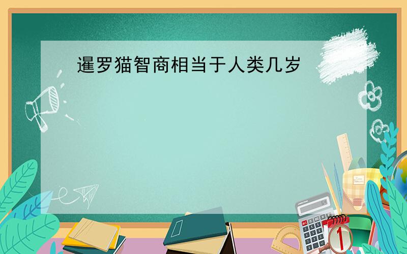 暹罗猫智商相当于人类几岁