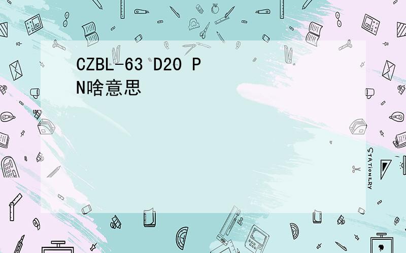 CZBL-63 D20 P N啥意思